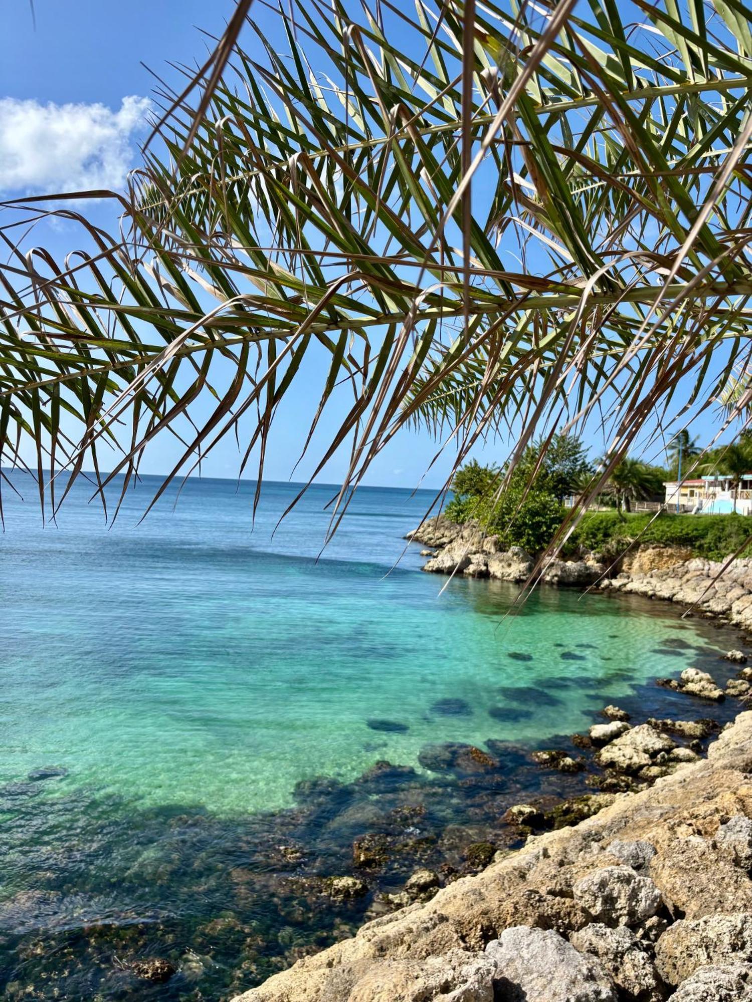 Gite Tournesol - A 2 Min De La Plage Et Du Bourg Anse-Bertrand Bagian luar foto
